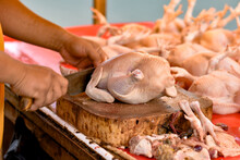 Close-up Of A Poultry Seller's Hand At A Traditional Market