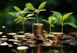 Emerging green shoots among coins, symbolizing financial growth and sustainable investment