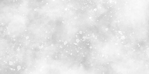 Wall Mural - winter snowfall in the winter season with particles, sunshine or sparkling lights and glittering glo