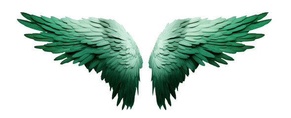 green fantasy feather wings - pair of green angelical wings - isolated transparent png background - 