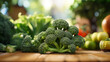 Broccoli Photo Resource