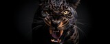 panther face portrait. dark background