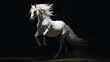  a white horse galloping in the dark with its rear legs in the air and it's rear legs in the air.