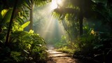 Fototapeta Dziecięca - A bright morning in a tropical forest with sunlight shining through between the leaves, plants that thrive without air pollution