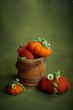 pumpkins in wooden bucket