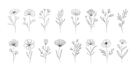 Minimalist linear flowers. Doodle elegant floral elements, nature botanical leaves branches, fine line tattoo sketch. Vector set