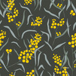 © chekiwart - Hand drawn vector wattle branch seamless pattern