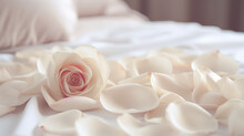 Close-up Of A Fresh Rose Flower And Many White Petals Lying On A Large Bed In A Honeymoon Hotel Room. Romantic Trip, Room Booking.