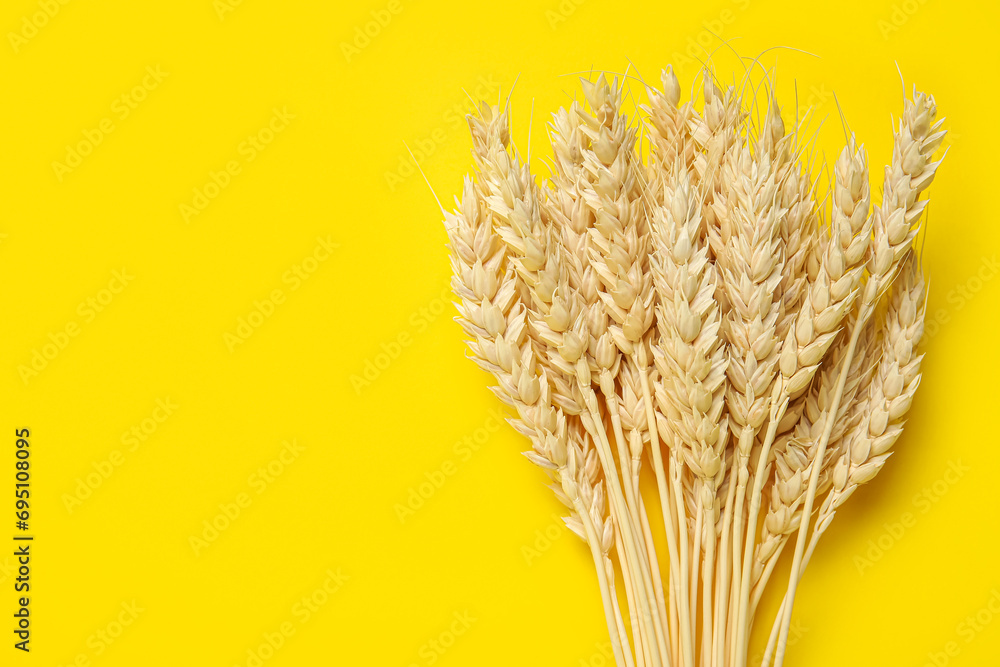 Wheat ears on yellow background