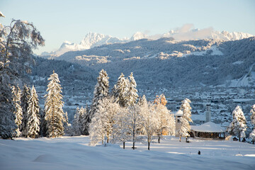 Sticker - winter mountain landscape in the Alps with snow covered fir trees