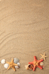 Poster - Beautiful sea stars and shells on sand, flat lay. Space for text