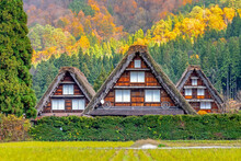Historical Japanese Village. Shirakawa-go, Ono District, Gifu Prefecture, Japan In The Autumn Leaves Change Color