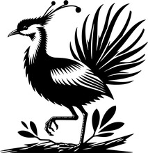 Pheasant Tailed Jacana Icon 10