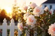 A charming white picket fence adorned with beautiful pink roses, creating a picturesque scene. Perfect for adding a touch of elegance and romance to any project