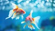 © Matthew - fish swimming in the aquarium