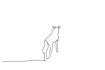 cute dog outside free pose life freedom walk line art design