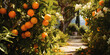 beautiful garden with orange trees. ripe fruits. harvest season oranges, tangerines, grapefruits