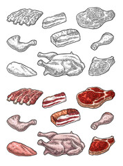 Wall Mural - Set meat products. Brisket, steak, chicken leg, ribs wing, and breast halves. Vintage color and black vector engraving illustration. Isolated on white background.