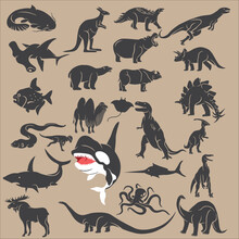 Stylized Vector Illustration Of Animal Silhouette Collection