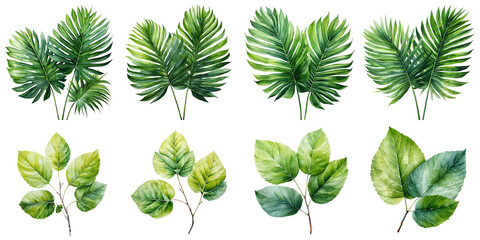 Wall Mural - exotic plant leaves Artificial Intelligence Generative