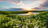 Fototapeta Natura - Beautiful summer spring natural landscape with lake and wildflowers at sunset.