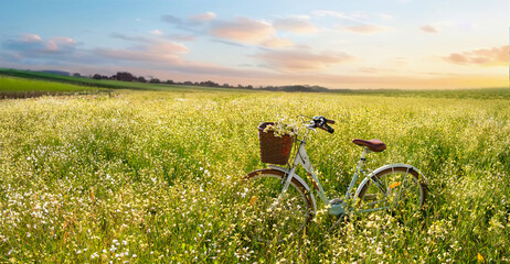 Wall Mural - Beautiful spring summer natural landscape with a bicycle on a flowering meadow against a blue sky with clouds on a bright sunny day.