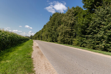 Wall Mural - paved road in sunny weather