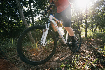 Wall Mural - Mountain biking on spring forest trail