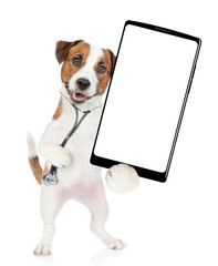 Aufkleber - Funny jack russell terrier wearing like a doctor with stethoscope on his neck showing big smartphone with white blank screen in it paw. isolated on white background