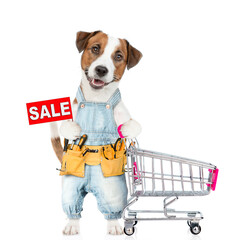 Poster - Funny Jack russell terrier puppy wearing denim overalls with tool belt pushing the shopping cart and  shows signboard with labeled 