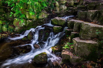 Canvas Print - Waterfall in the forest