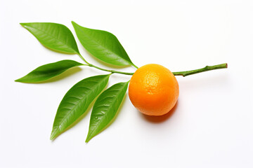 Wall Mural - Orange fruit on white background
