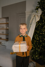 Boy Holding Holiday Gift With Christmas Tree