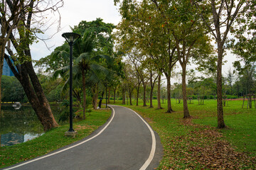 Green meadow grass with tree in city public park fresh air in downtown