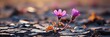 Purple Flower Growing Crack Rod Hope , Banner Image For Website, Background, Desktop Wallpaper