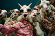A group of goats engaged in a guffawing gala, providing a lively and humorous image for a range of creative endeavors.