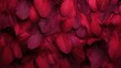 close-up of luxurious dark red feathers arranged in rich texture and pattern.