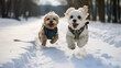 © irissca - Two happy dogs in winter attire joyfully leap through a snowy landscape, leaving paw prints in their wake.