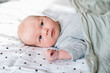 Portrait of 2 weeks old baby. Newborn baby at first months of life.