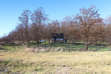 Wall Mural - A house in a field