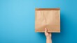 
hands holding blank craft paper bag for takeaway on blue background – packaging template mock-up for delivery service, copy space