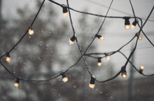 Garland Of Electric Light Bulbs On The Wire Hanging On Naked Tree Branches. Illumination On The Street. Outdoor String Lights Hanging On Trees. Frozen Street Lighting Lamps. Winter Weather Season.