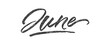Month June written in brush script font with marker ink effect isolated on transparent background