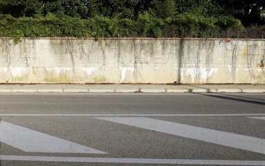 Wall Mural - Long surrounding concrete wall with dry branches of creeping plants and trees behind. Concrete sidewalk and street in front. Background for copy space.