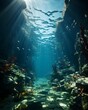 Underwater view of the underwater world. Underwater view of the underwater world.