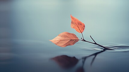 Wall Mural - A leaf floating in water with a reflection of the sky, AI