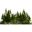 Forest and foliage isolated on transparent background, cut out, png