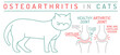 Arthritis, osteoarthritis in cats. Widespread feline disease. Common arreas affected.