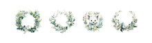 Watercolor .eucalyptus Flower Wreaths Set. Vector Illustration Design.