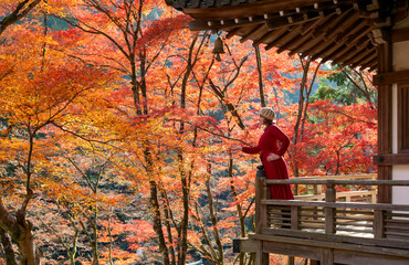 young women with colorful red maple trees in autumn, kyoto japan
